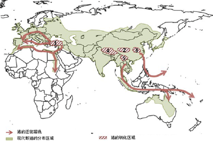 W020210303594541157129.png