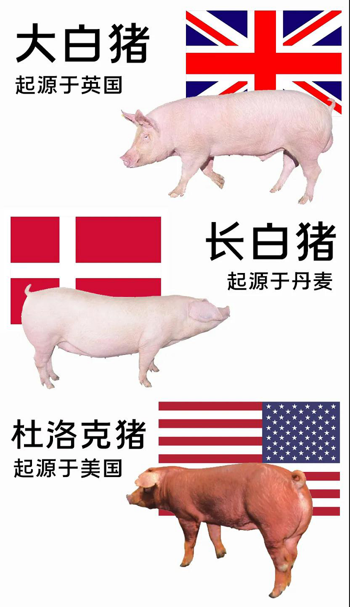 W020210303594541346522.png
