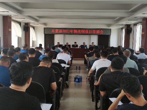 图片11.jpg