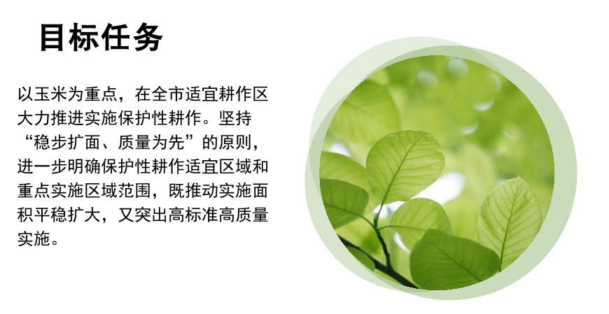 ac985a607ed4064b730650f58ad362d.png
