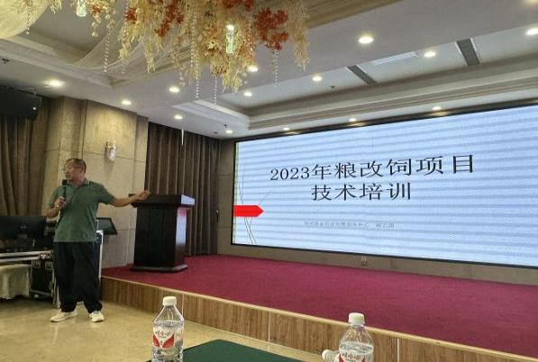 图片4.png