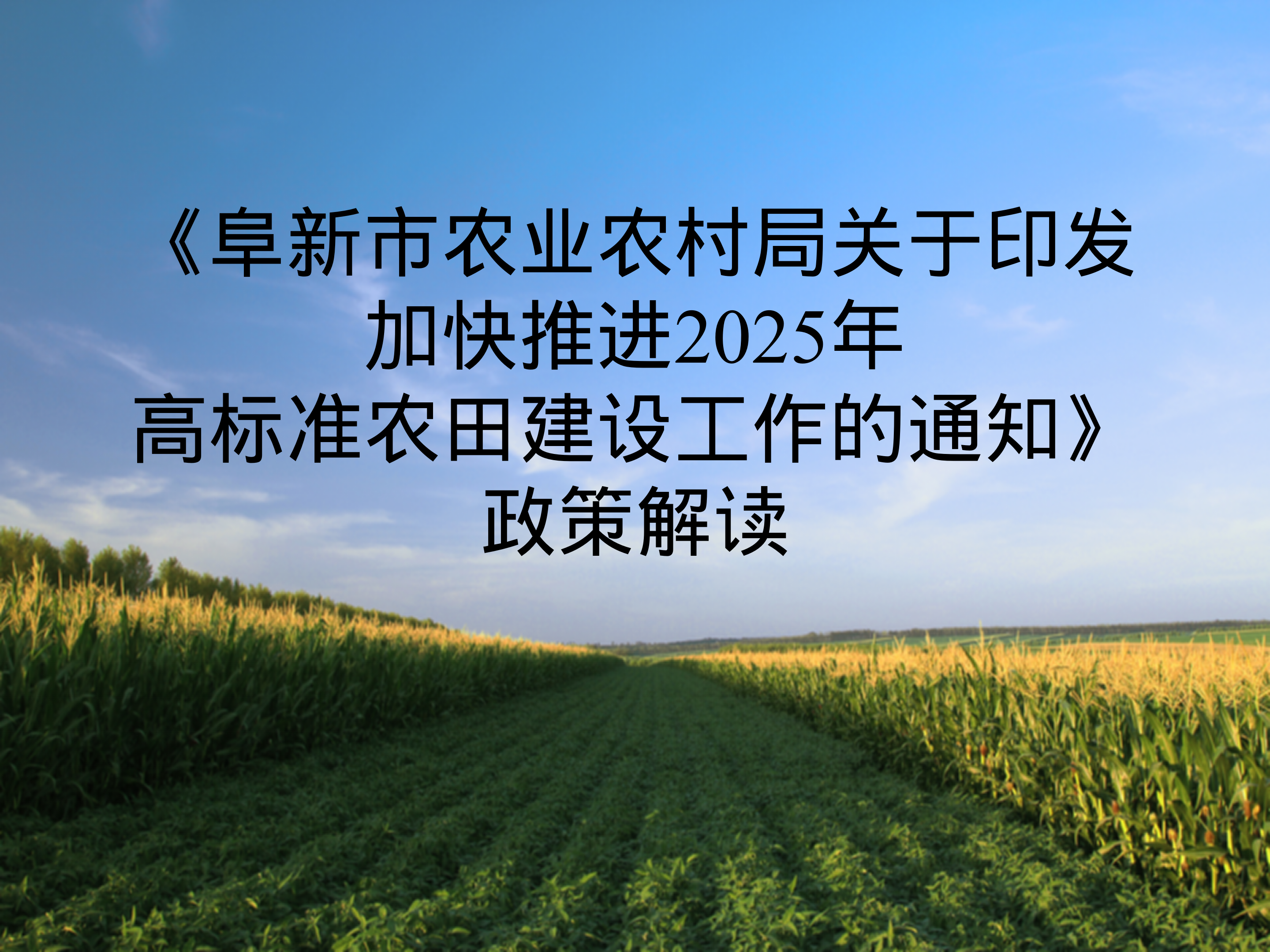 《阜新市农业农村局关于印发推进2025年高标准农田建设工作的通知》政策解读_01.png