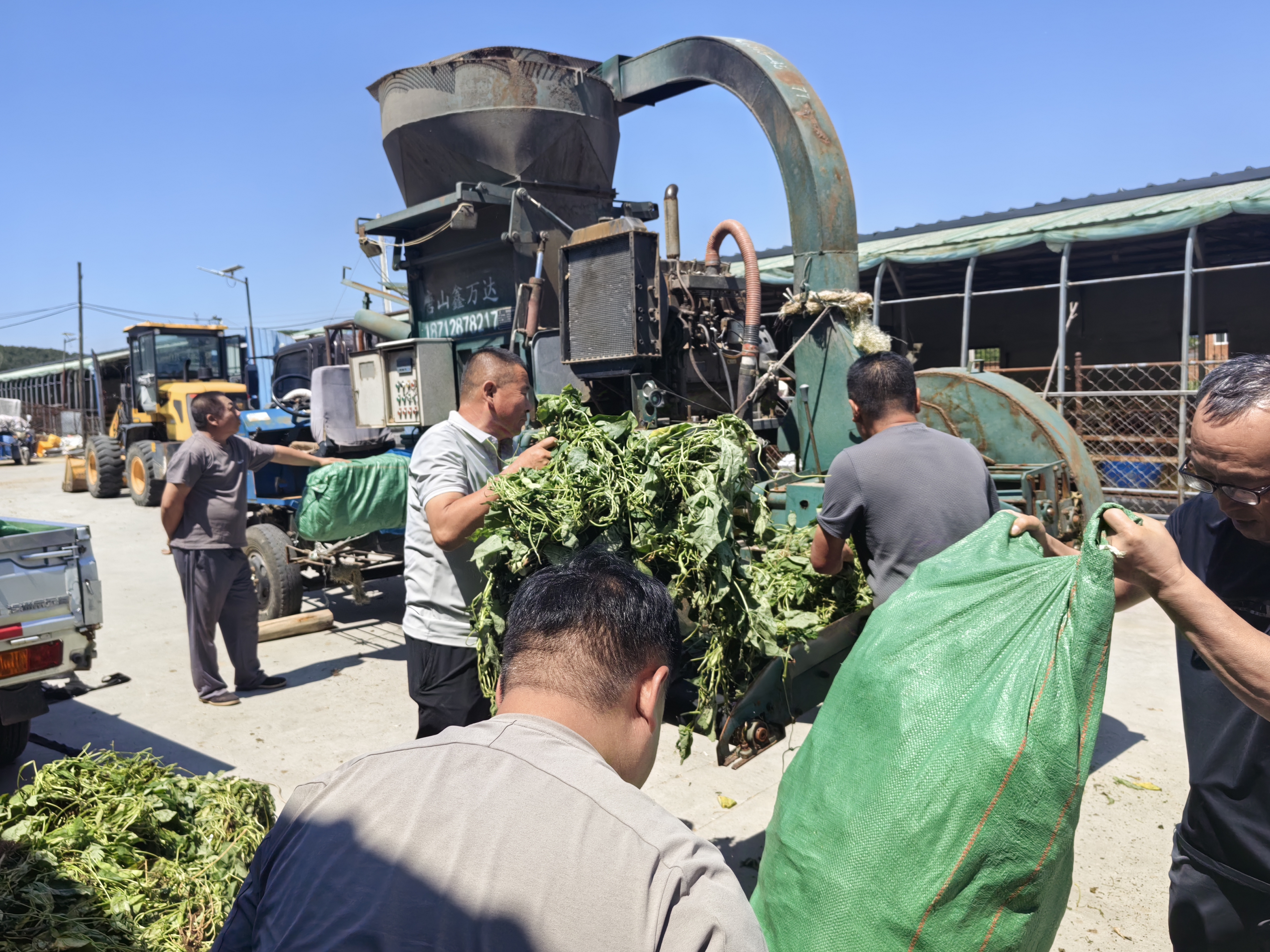 图片3.png